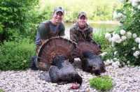 Wisconsin Turkey Hunt